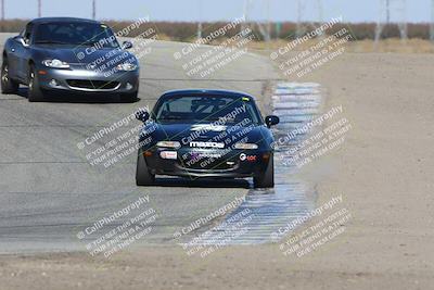 media/Nov-16-2024-CalClub SCCA (Sat) [[641f3b2761]]/Group 1/Race (Outside Grapevine)/